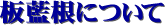 ɂ